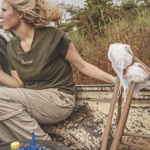 HIOH scientist Yanthe Nobel transporting fly-catching nets. The flies serve as natural samplers for DNA fragments from animals and microorganisms in the environment.