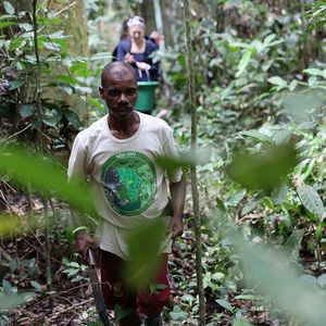 Two people are walking one behind the other on a narrow path through the rainforest