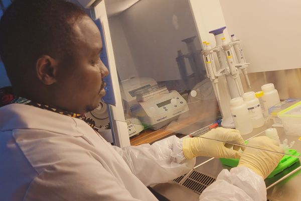 Sample analysis at the molecular diagnostics lab