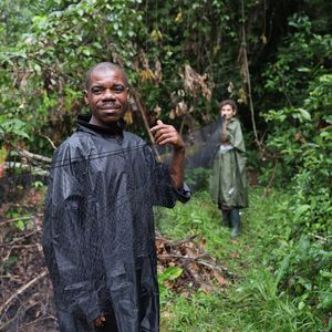 Two people setting up nets in the rainforest