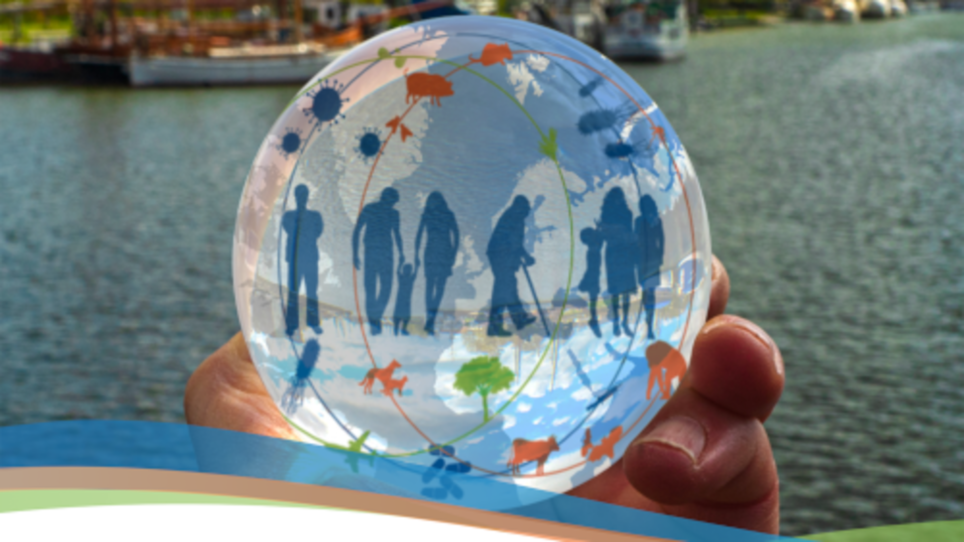 Glaskugel mit Schema zum One Health Ansatz