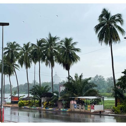 Palm trees and huts by the roadside