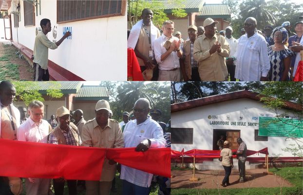 Collage Opening of the molecular diagnostics laboratory 