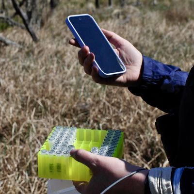 A container holding samples and a cell phone held in someone's hands 