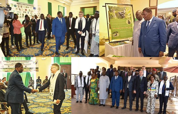 Collage with pictures of guest of honor Prof. Faustin-Archange Touadéra