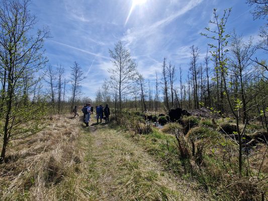 Landscape view of the mire with a group of students
