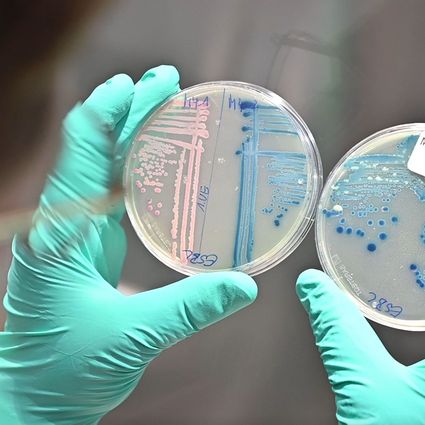 Antibiotic-resistant bacteria