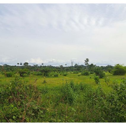 Landscape panorama