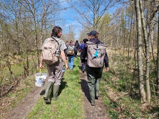 A group of people is walking through the moor 