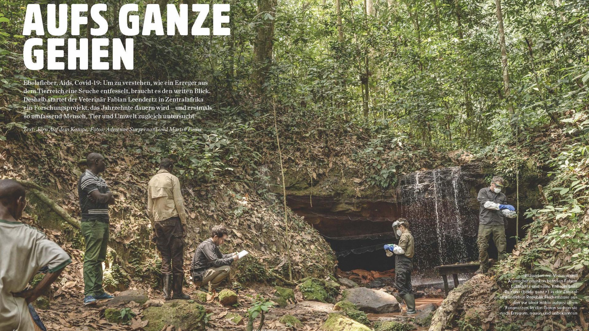 HIOH founding director Fabian Leendertz and his colleague Livia Patrono free bats from nets in order to examine them for pathogens.