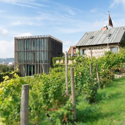 Leben in Würzburg: Aussicht vom Weingut "Am Stein"