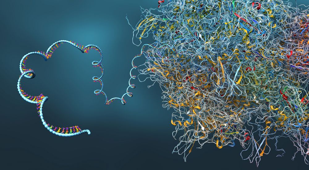 RNA-based Infection Research: Ribosome as part of a biological cell constructing messenger rna molecule - 3d illustration by Christoph Burgstedt / Adobe Stock