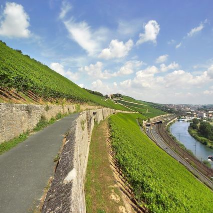 The vineyards around Würzburg invite you to take a stroll and enjoy the scenery. (c) Bürgerspital zum Hl. Geist