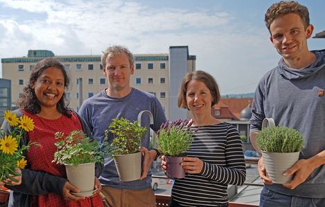 Shuba und drei Kollegen halten jeweils eine Pflanze, während sie in die Kamera lächeln. Im Hintergrund sind ein Gebäude und ein sonniger Himmel. Sie stehen auf dem Balkon ihres Büros.