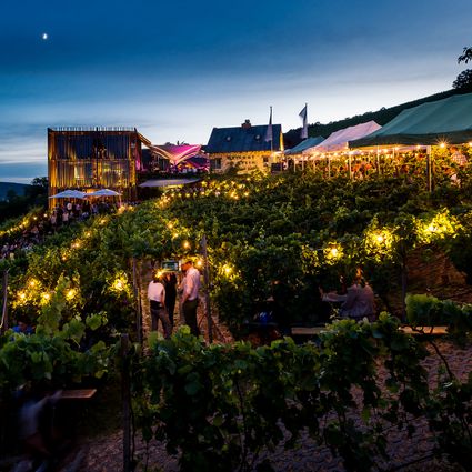 Magical vineyard during the annual music festival at the winery "Am Stein". (c) Stefan Bausewein
