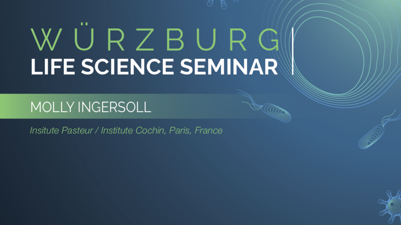Würzburg Life Science Seminar: Molly Ingersoll