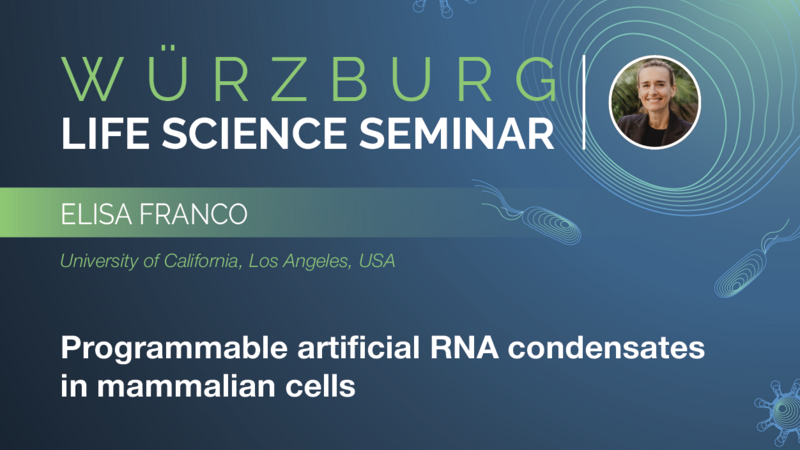 Würzburg Life Science Seminar: Elisa Franco