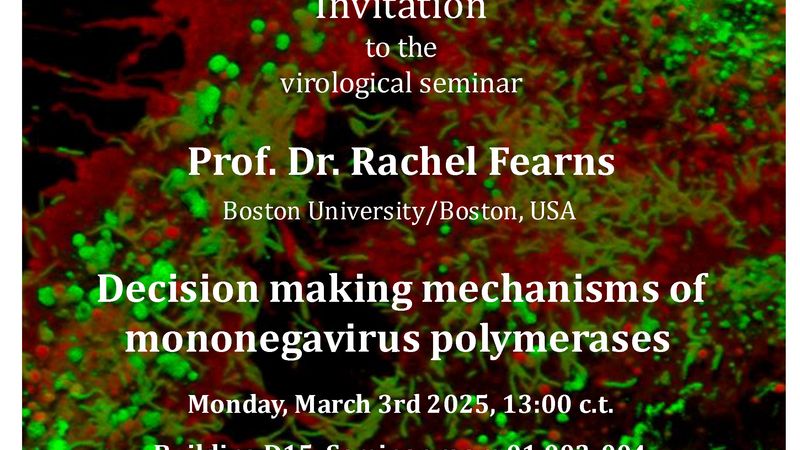 Special Seminar: Rachel Fearns