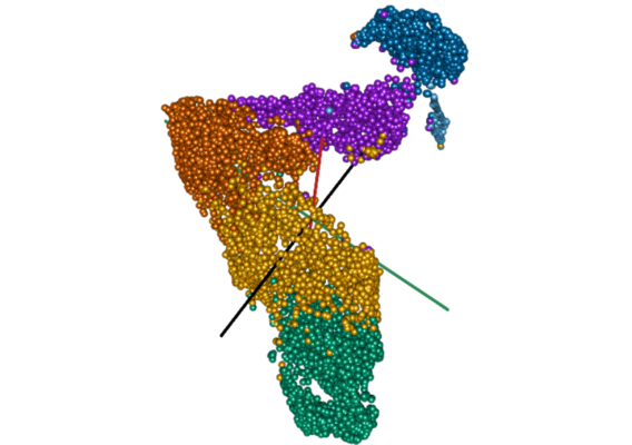 Covid-19 Lung Macrophages