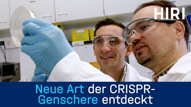 Video Vorschau