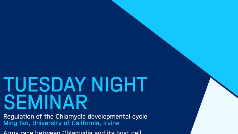 Tuesday Night Seminar: Ming Tan & Christine Sütterlin